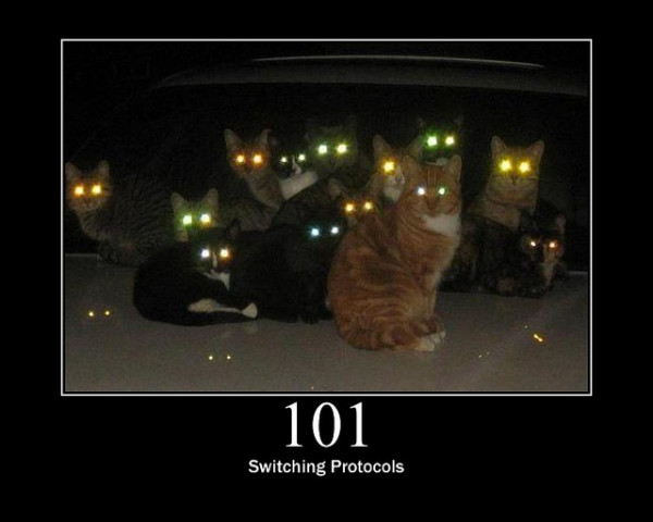 101-Switching-Protocols