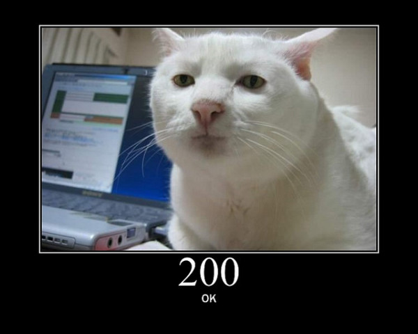 200-OK