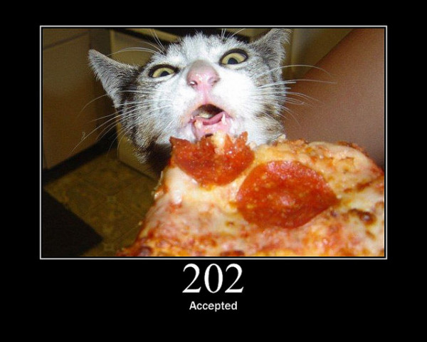 202-accepted