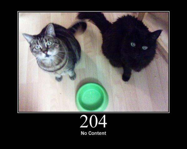 204-No-Content