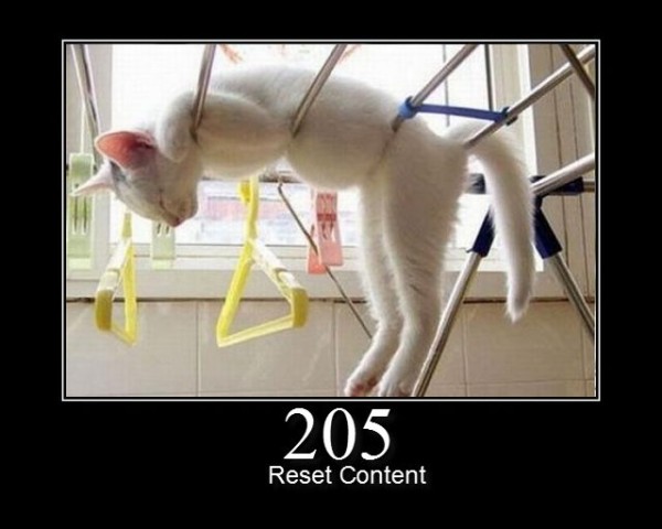 ▷ HTTP 205 Reset Content