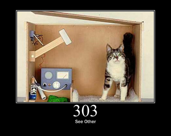 303-See-Other
