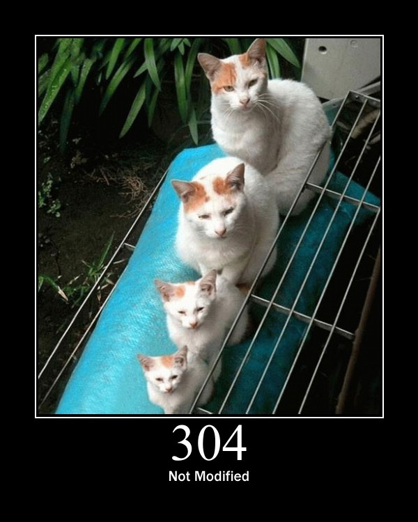 304-Not-Modified