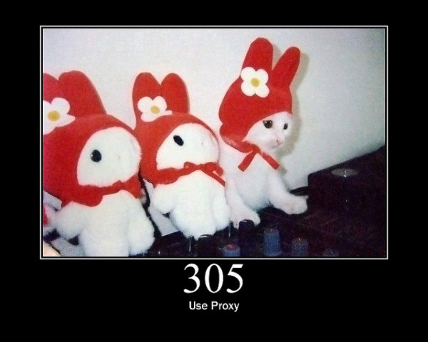 305-Use-Proxy