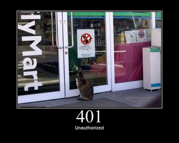 401-Unauthorised