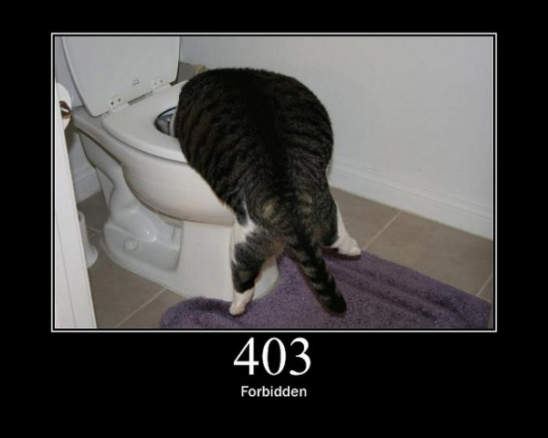 403-Forbidden