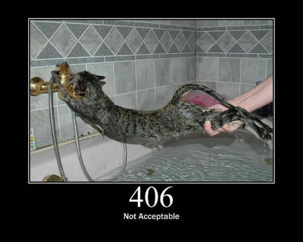 406-Not-Acceptable