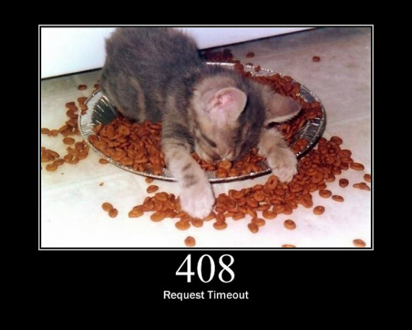408-Request-Timeout
