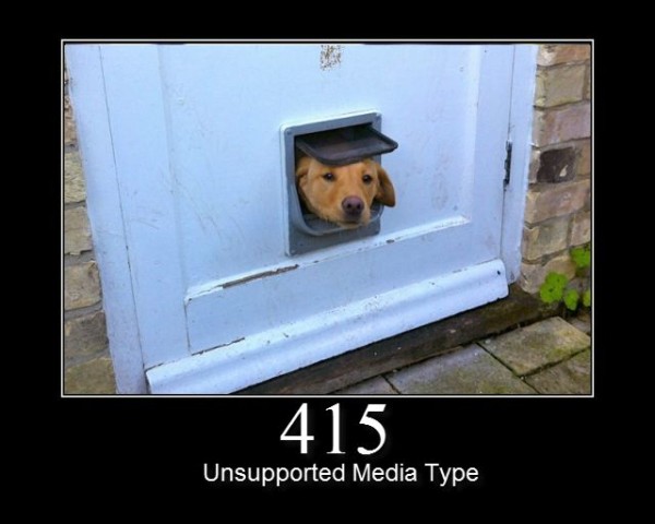 415-Unsupported-Media-Type