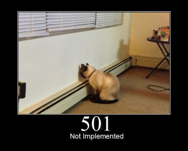 501-Not-Implemented