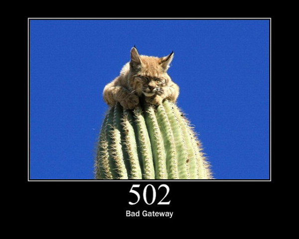 502-Bad-Gateway