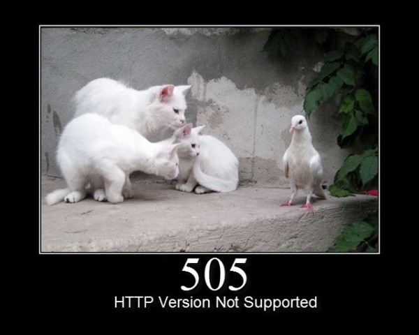 505-HTTP-version-not-supported