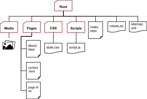 root directory diagram
