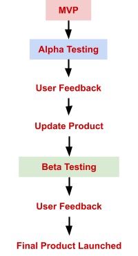 Standard MVP Process