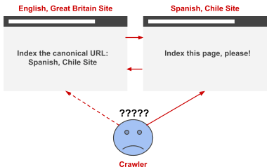 canonical tag on international sites example