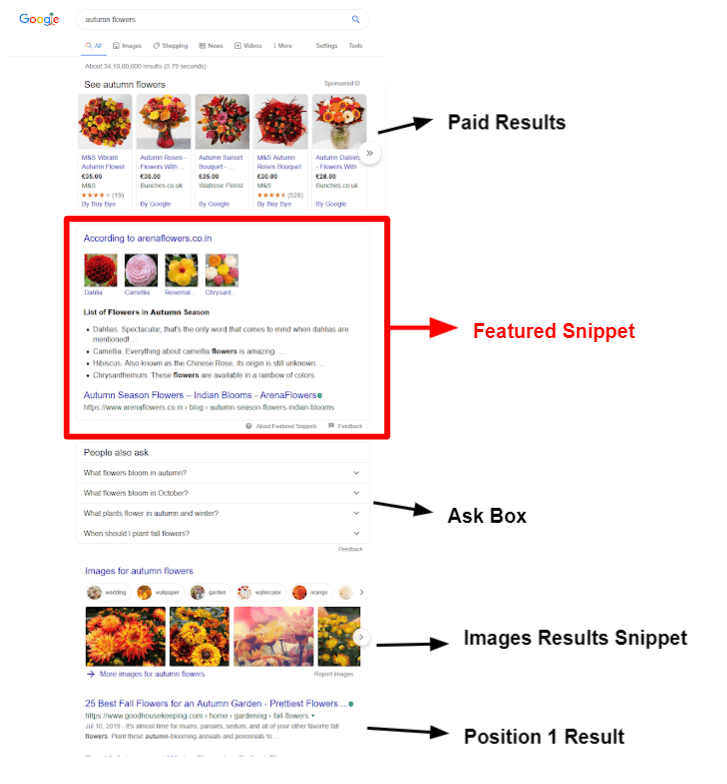 featured snippet serps example